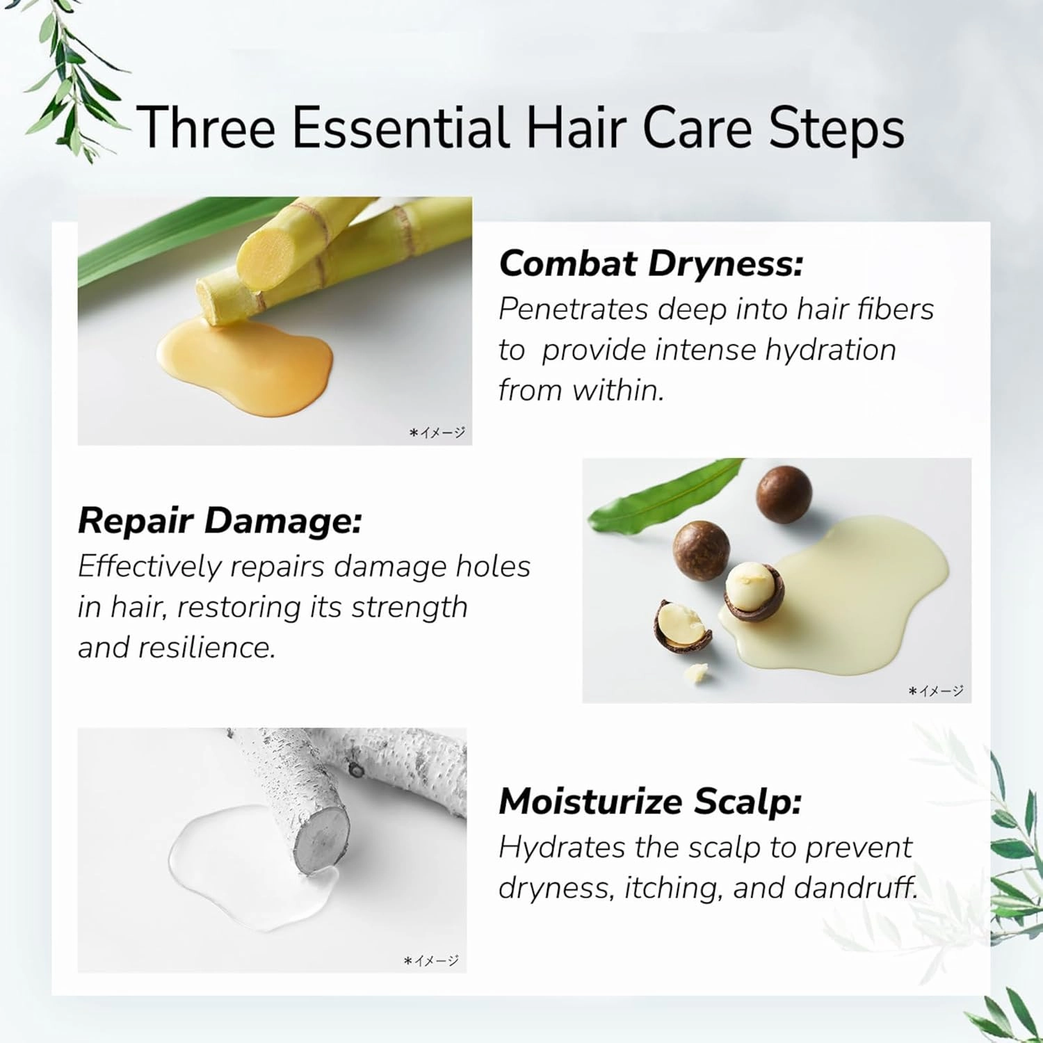 Organic Shampoo for Dry Frizzy Hair, Anti Frizz Shampoo with Macadamia Nut & Argan Oil for Women & Men & Kids, Silicone & Paraben Free, From Japan, SMOOTH, Green Apple & Rose,15.5 Fl Oz, 3EA