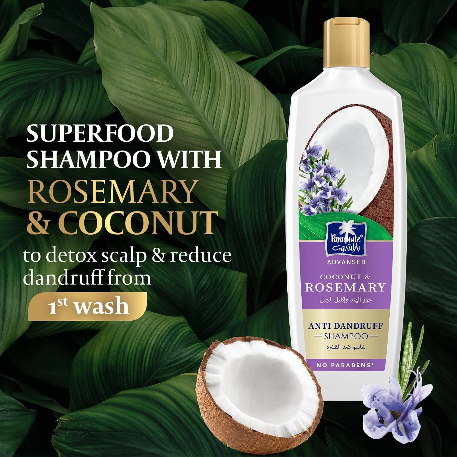 Parachute Advansed Anti-Dandruff Rosemary Shampoo with coconut | Nourishes Hair & Detoxes Scalp | 11.4 Fl oz | Pack of 3