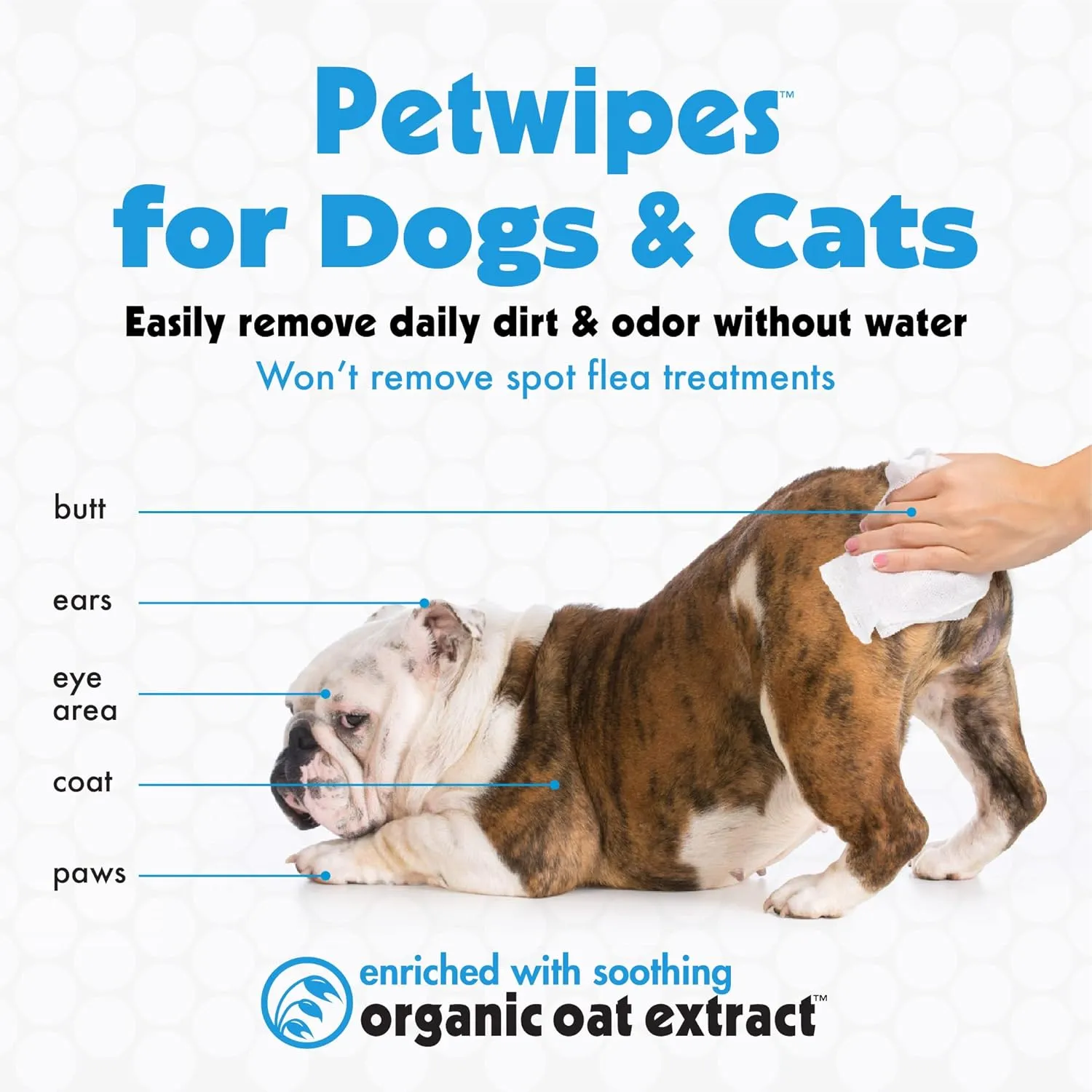 Petkin Large Pet Wipes for Dogs and Cats, 200 Count, Organic Oat Extract, Moistened with Gentle Cleaning Formula, Ideal for Home or Travel