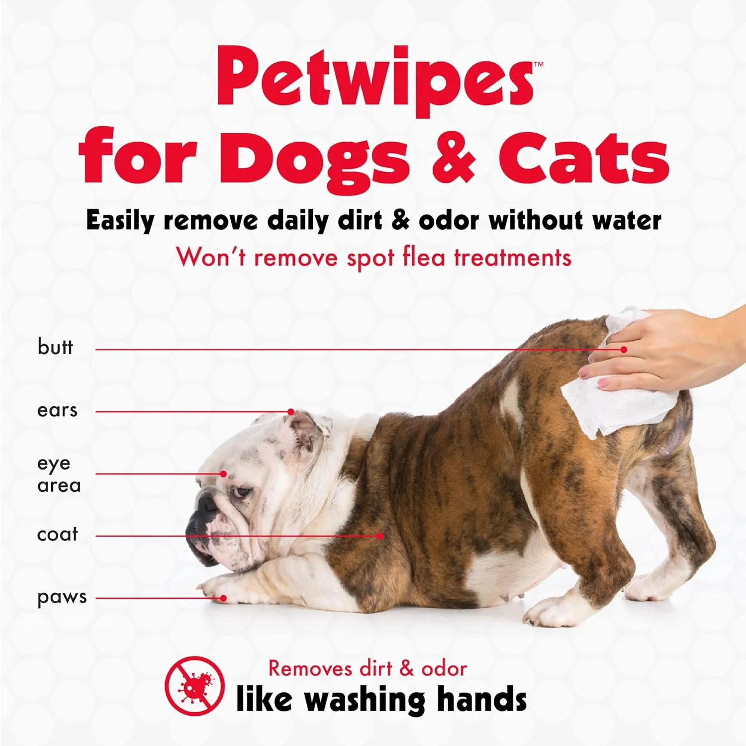Petkin Pet Wipes for Dogs and Cats, 400 Large Wipes - Removes Dirt & Odor Like Washing Hands - Cleans Ears, Face, Butt, Eye Area - Convenient, Ideal for Home or Travel - 4 Packs of 100 Wipes