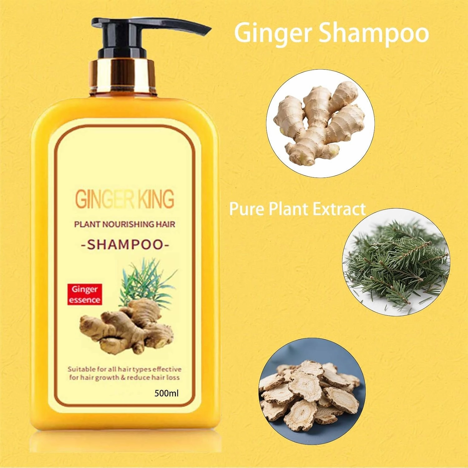 Plant Ginger Shampoo Nourish Scalp, Pure Plant-Based (1bottle(500ml))