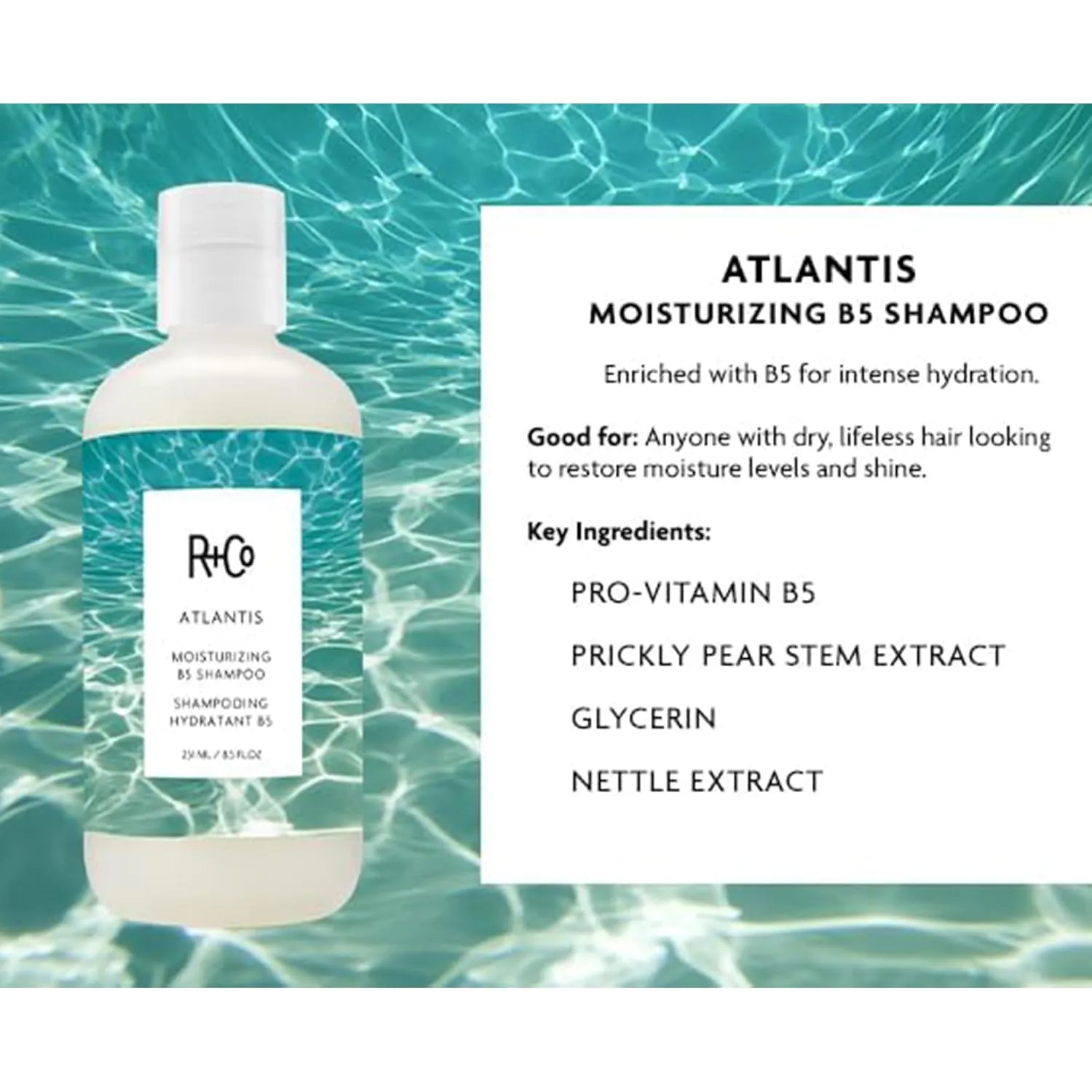 R Co Atlantis Moisturizing B5 Shampoo | Shine   Tames Frizz   Intense Hydration | Vegan   Cruelty-Free |Vegan   Cruelty-Free