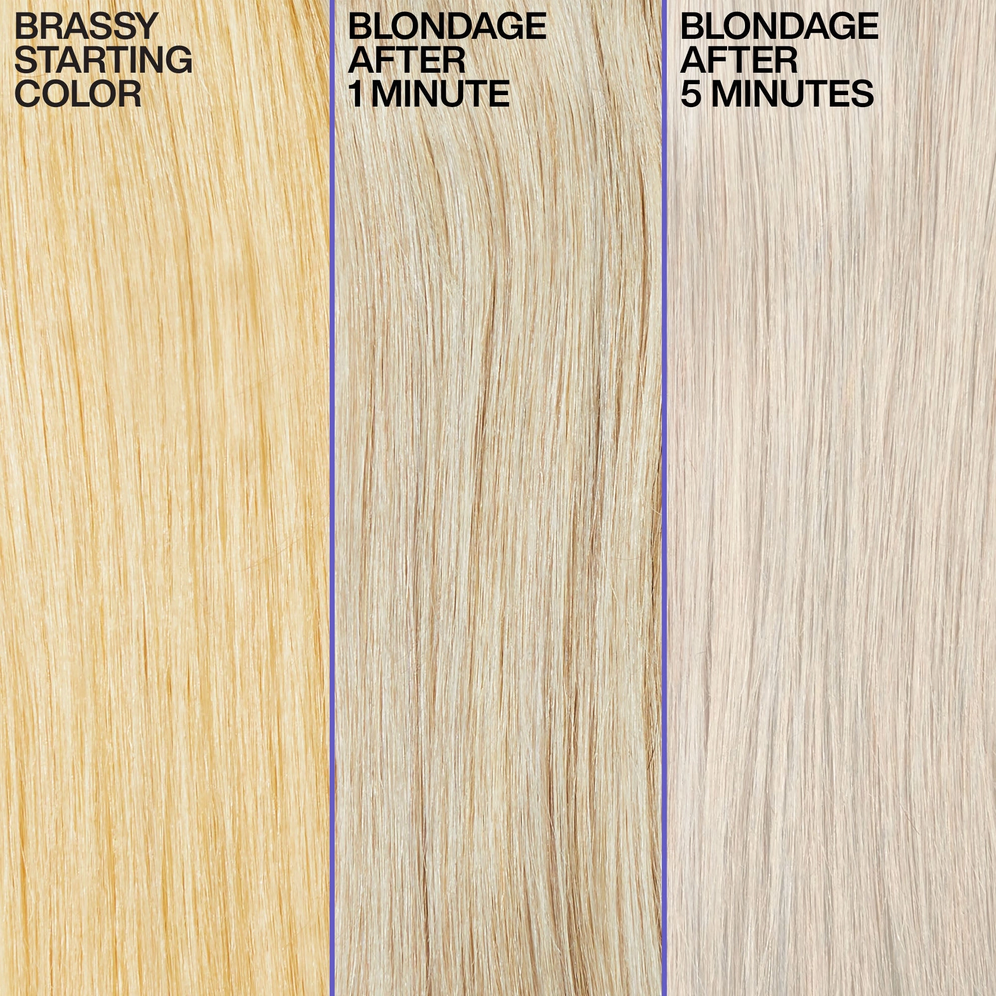 Redken Color Extend Blondage Color Depositing Purple Shampoo 500ml