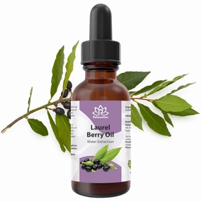 Relaxcation Pure Laurel Berry Oil 2 oz - Water Extracted, Unrefined Oil for Face, Hair, Nails & Body | Carrier Extract for Soap Making, Massage, Skin & Hair Care | Vegan, Organic, Travel Size