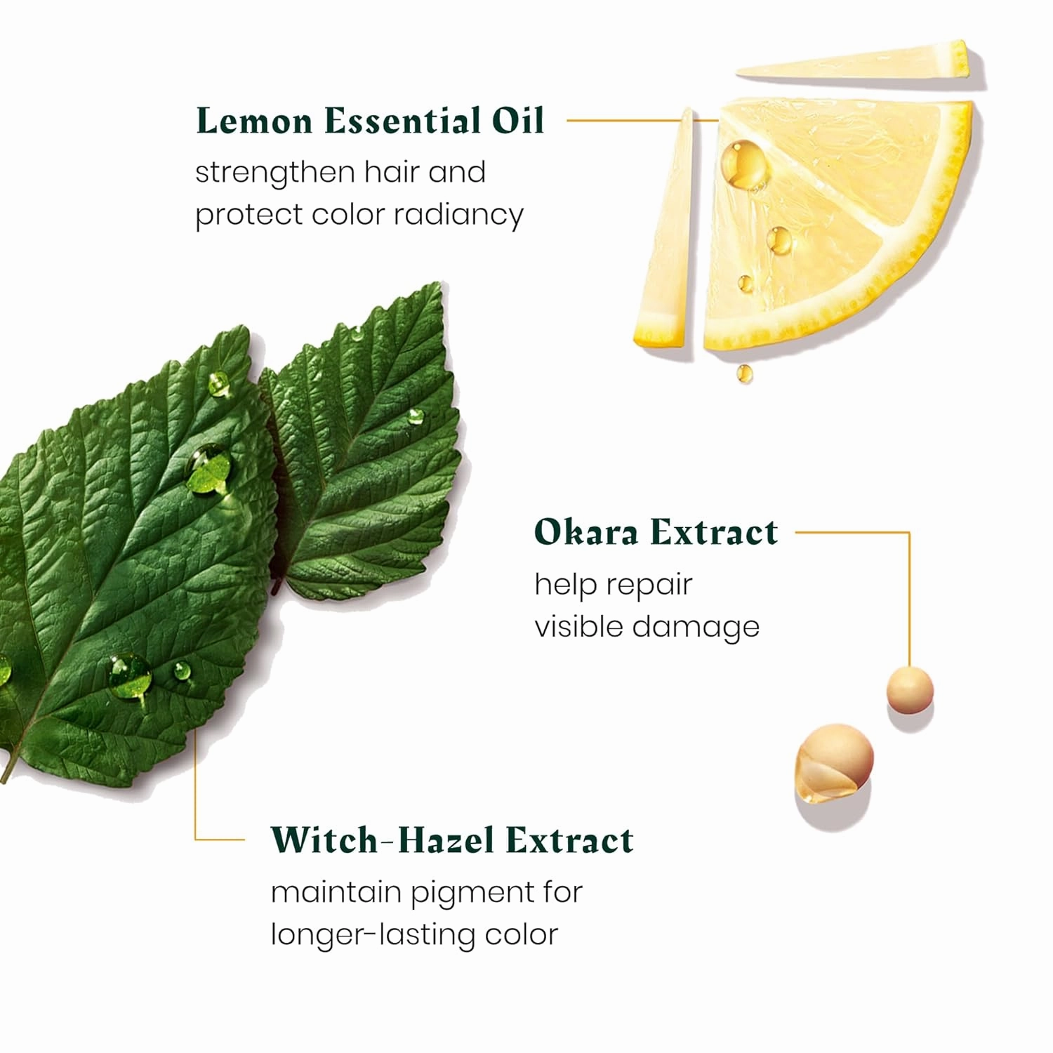 Rene Furterer Color Glow Protecting Color Shampoo - Amino Acids & Lemon Essential Oil