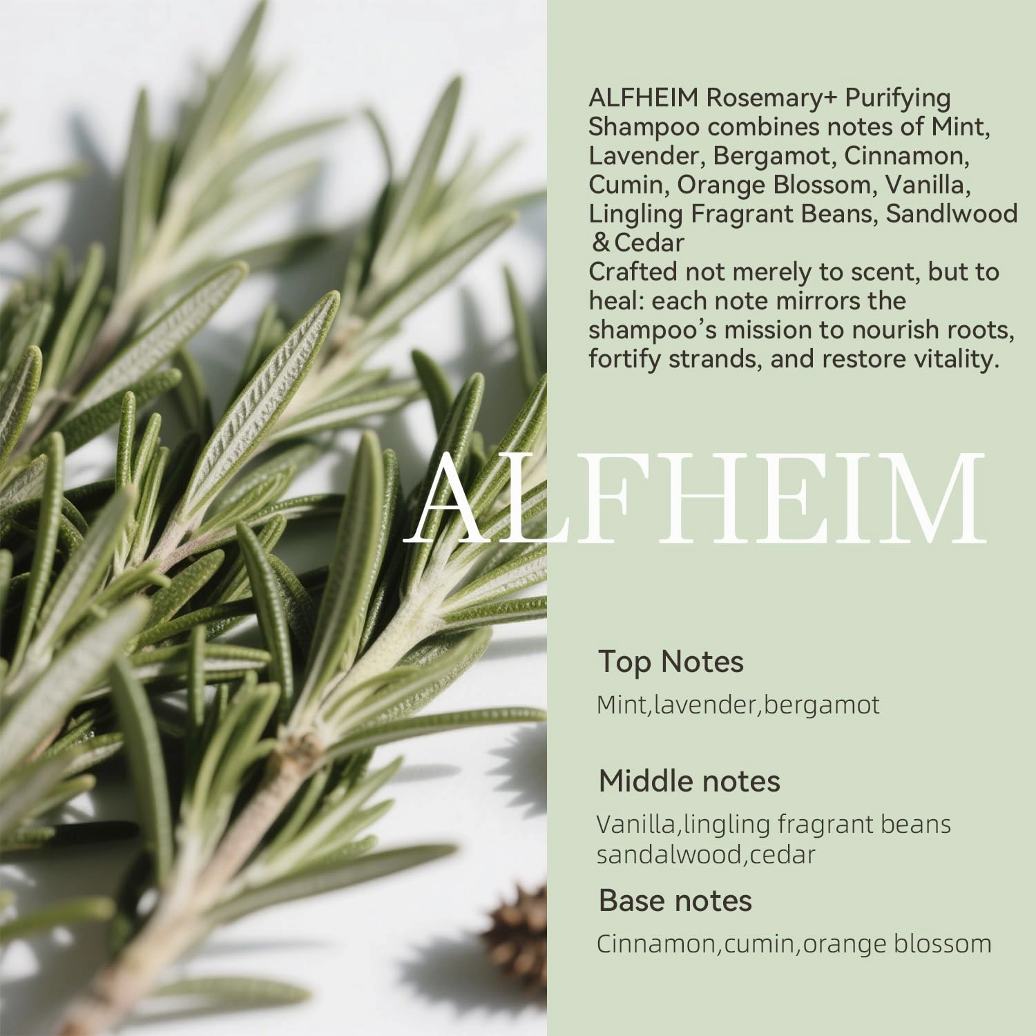 Rosemary  Purifying Shampoo | Rosemary & Mint Infused | Refreshes Scalp, Removes Build-Up & Balances Oil | Gentle for Oily Hair & Sensitive Scalp | Sulfate-Free | 18 fl oz