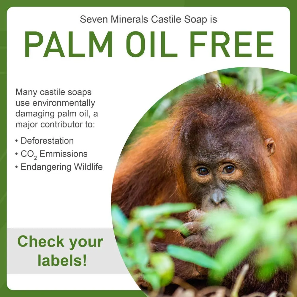 Seven Minerals, EWG Verified Castile Soap 33.8 fl oz - No Palm Oil, GMO-Free - Unscented Mild & Gentle Liquid Soap For Sensitive Skin & Baby Wash - All Natural Vegan Formula with Organic Carrier Oils