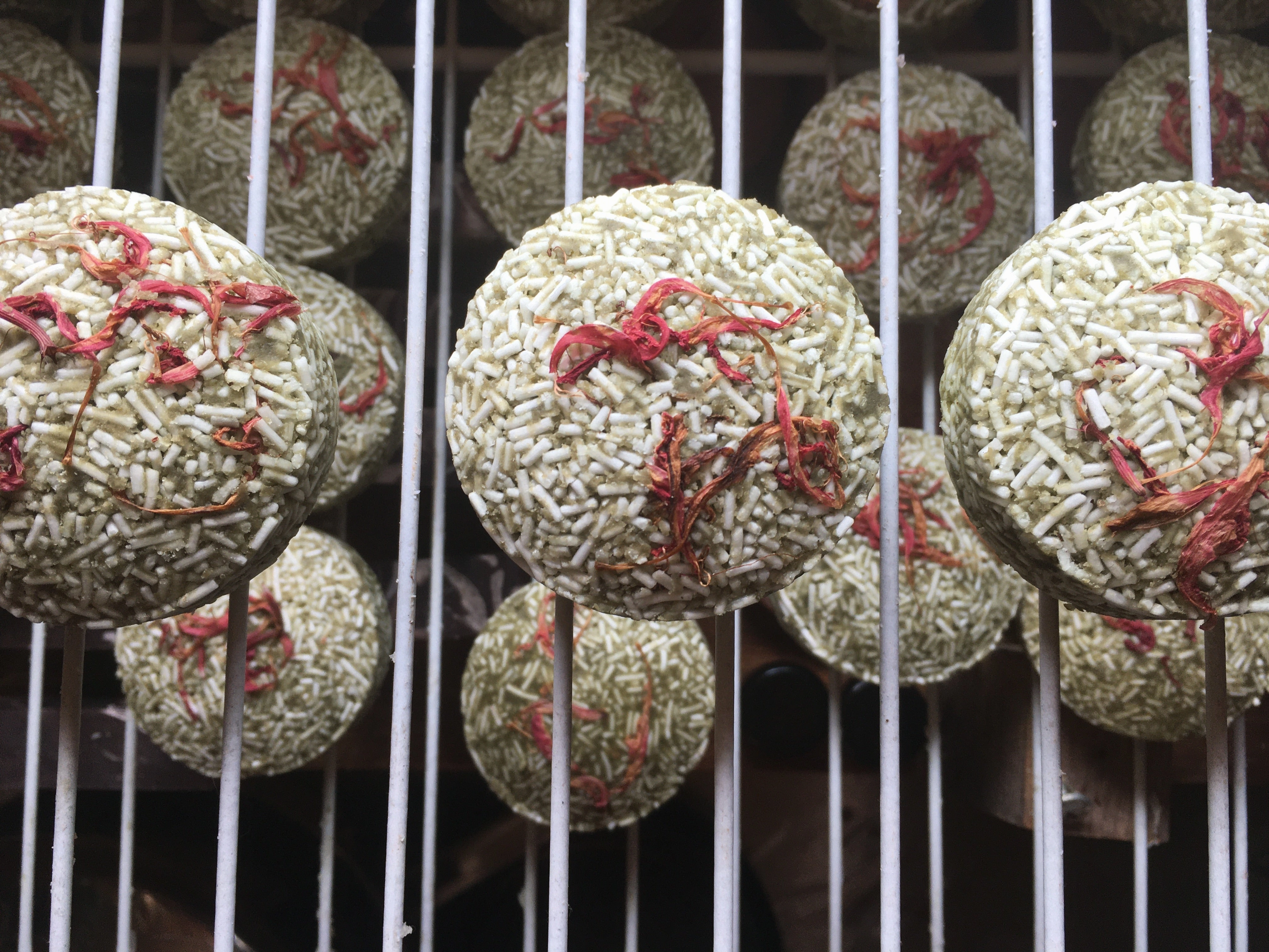 Solid Shampoo Bars