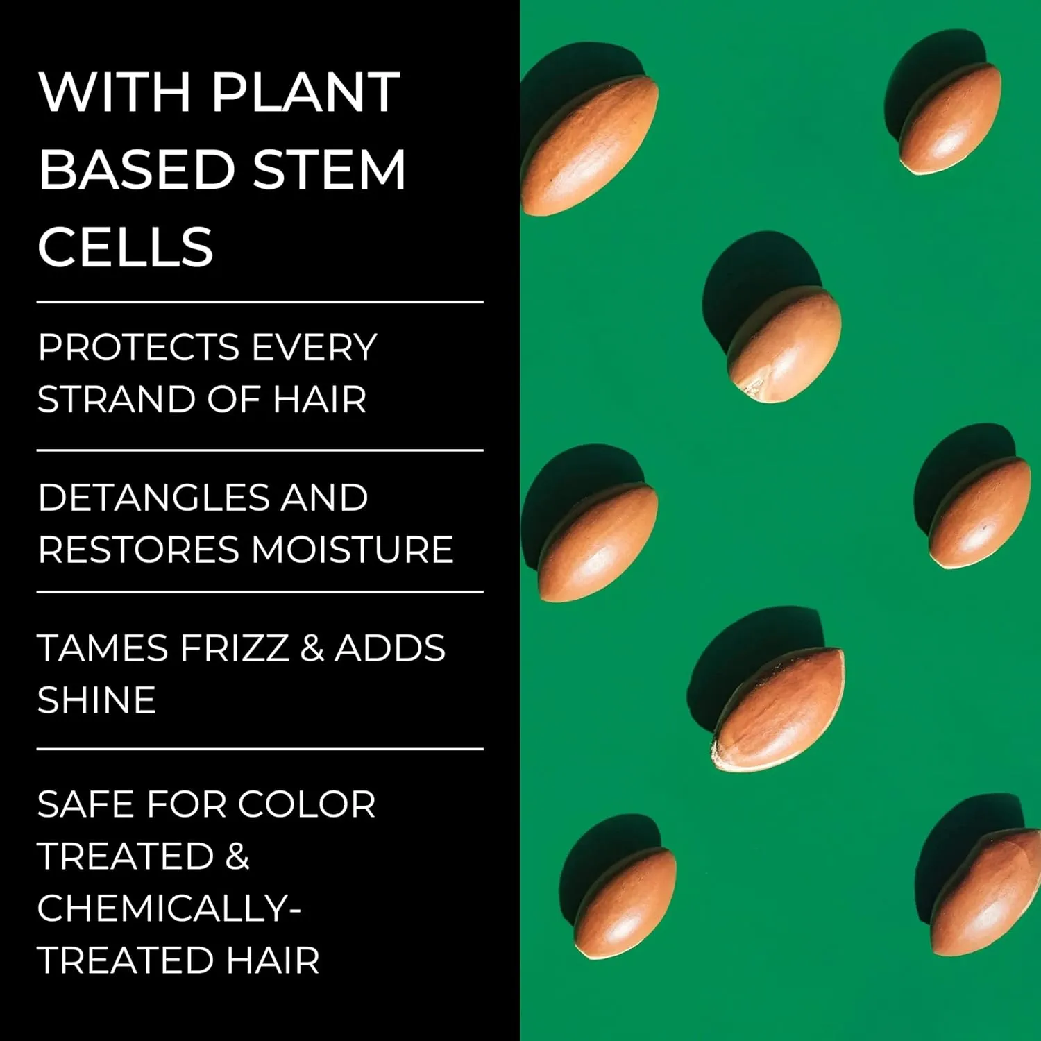 Stem  Hair Growth Shampoo with Biotin | Repairs, Strengthens, & Nourishes | Safe For Color & Chemically Treated Hair | Sulfate-Free | Hair Thickening Shampoo for Hair Loss