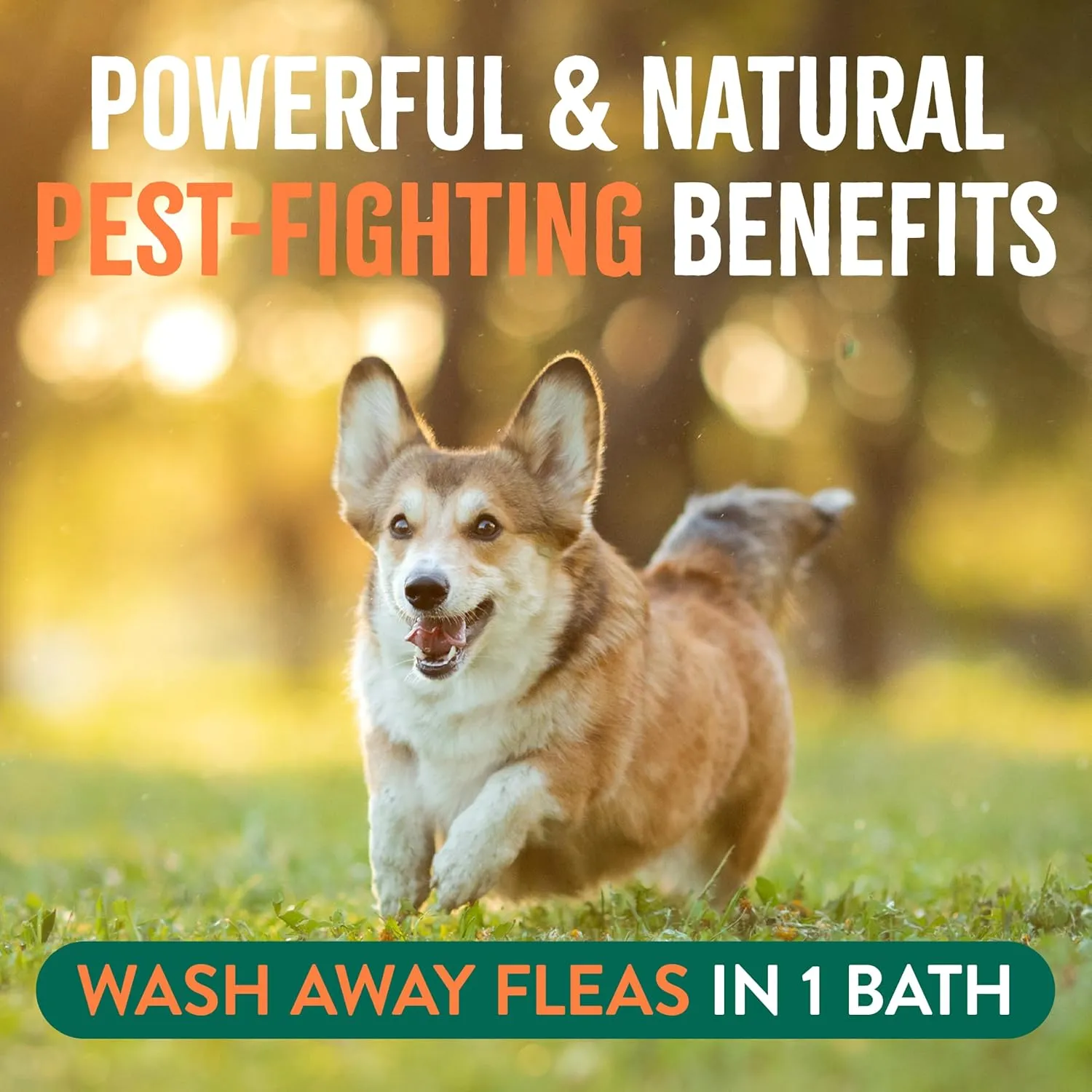 TropiClean Soothing Flea and Tick Shampoo Treatment for Dogs, Powerful & Natural Defense, Prevention for Large & Small Dogs, Made in USA, 20oz